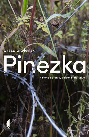 Okładka: Pinezka